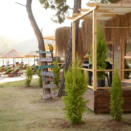 Green Pine Bungalows & Beach Luxury Concept 올루데니스 외부 사진