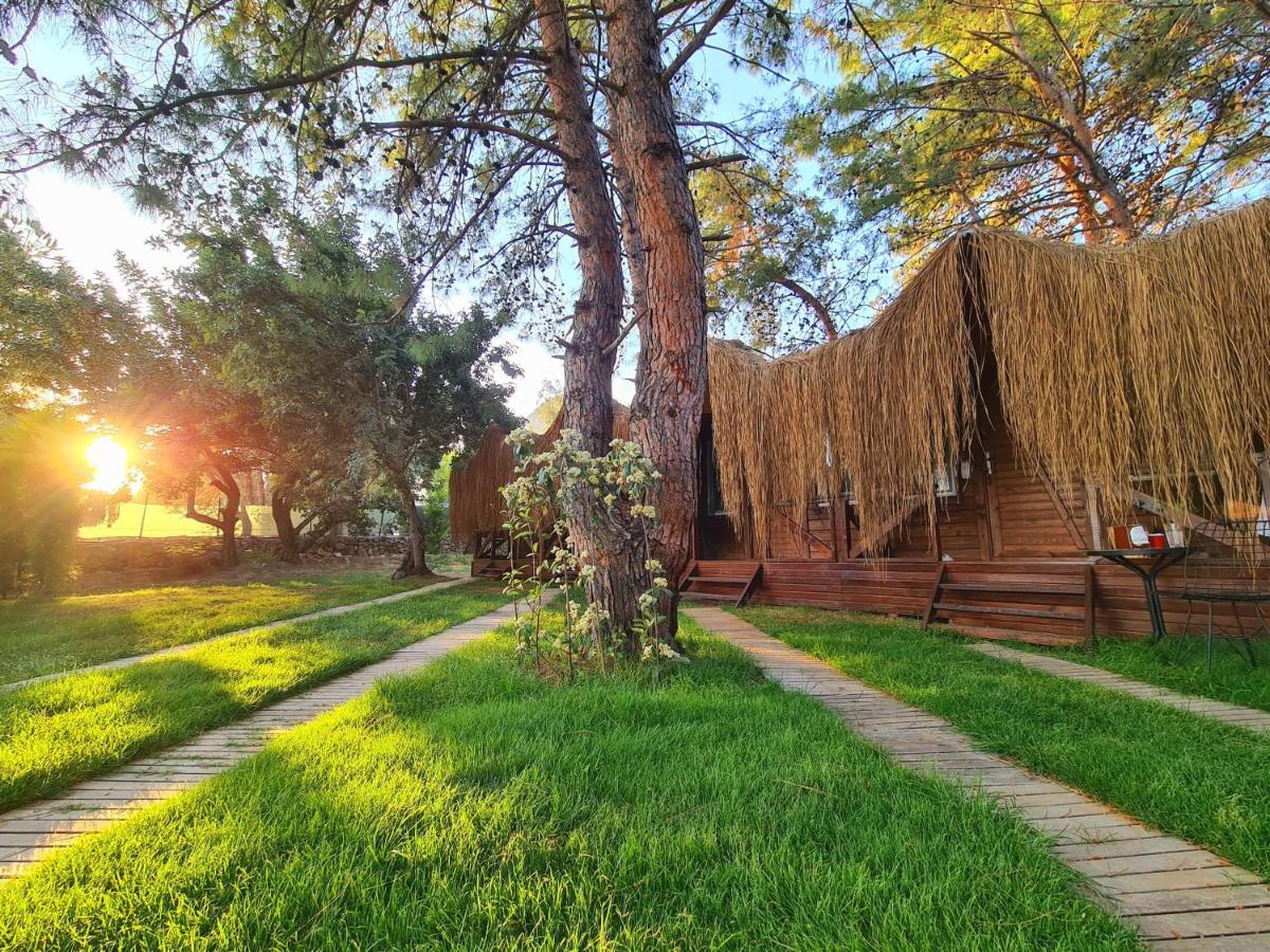 Green Pine Bungalows & Beach Luxury Concept 올루데니스 외부 사진