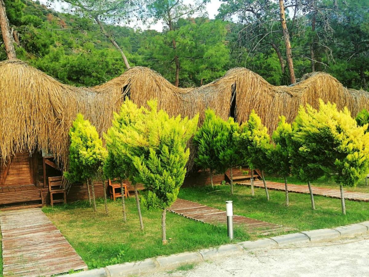 Green Pine Bungalows & Beach Luxury Concept 올루데니스 외부 사진