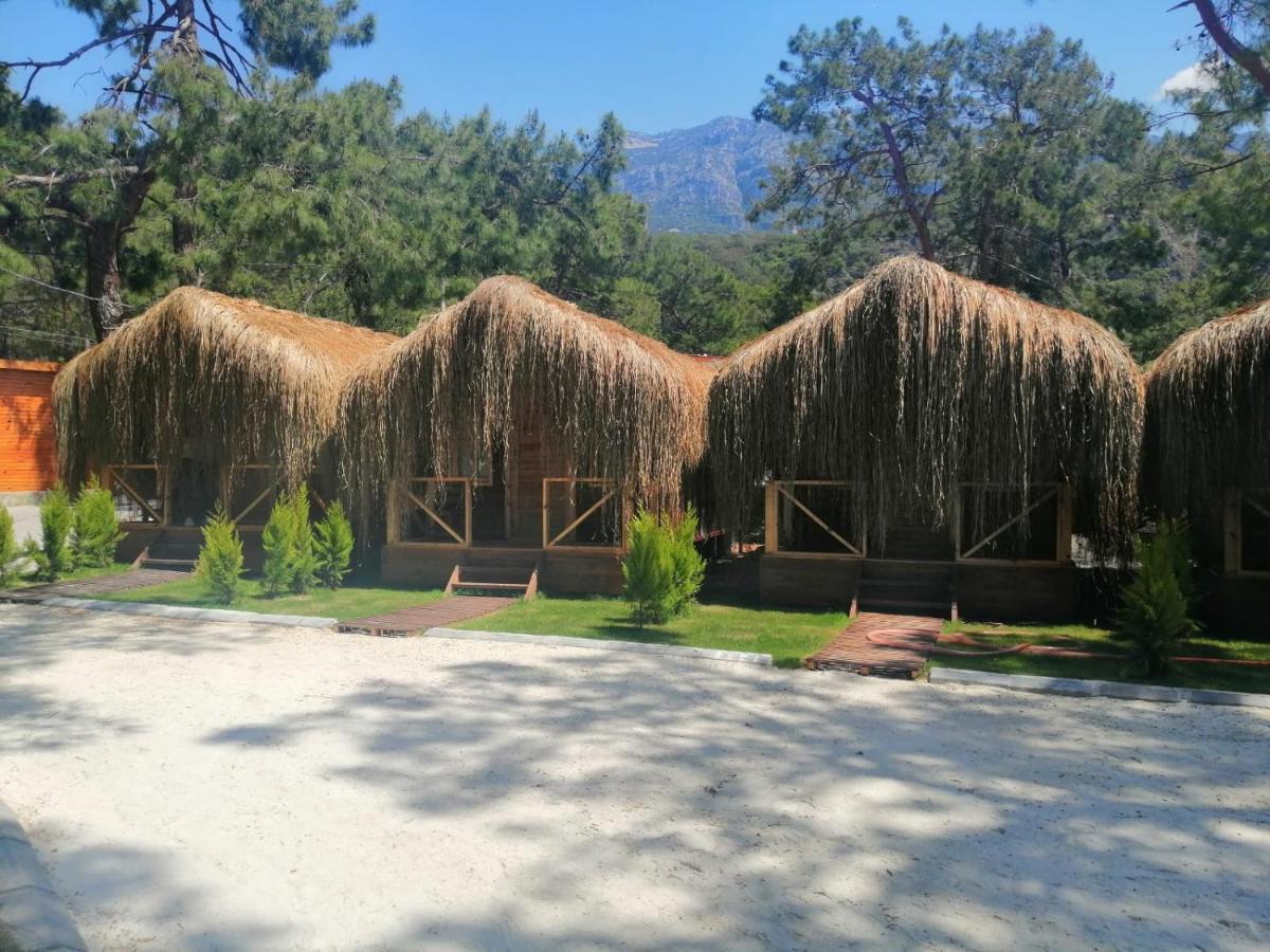 Green Pine Bungalows & Beach Luxury Concept 올루데니스 외부 사진