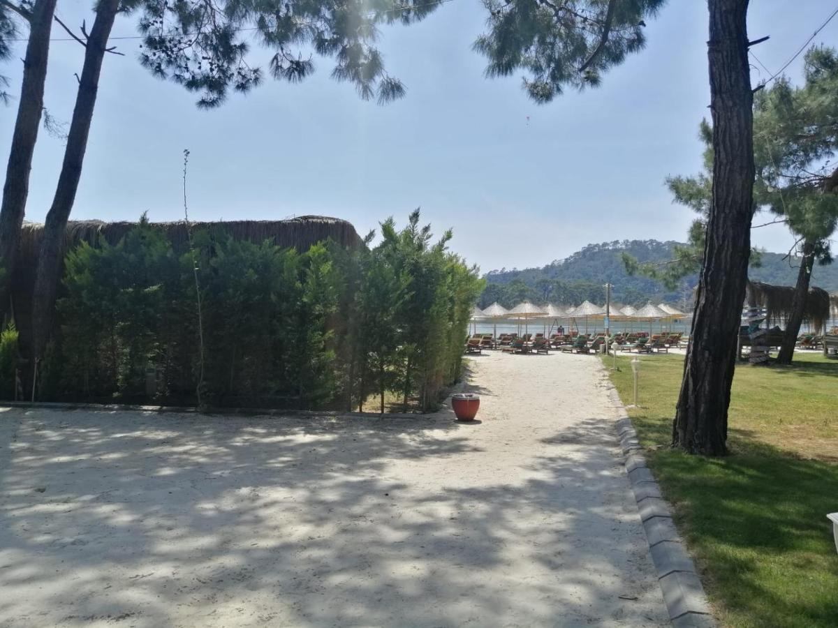 Green Pine Bungalows & Beach Luxury Concept 올루데니스 외부 사진