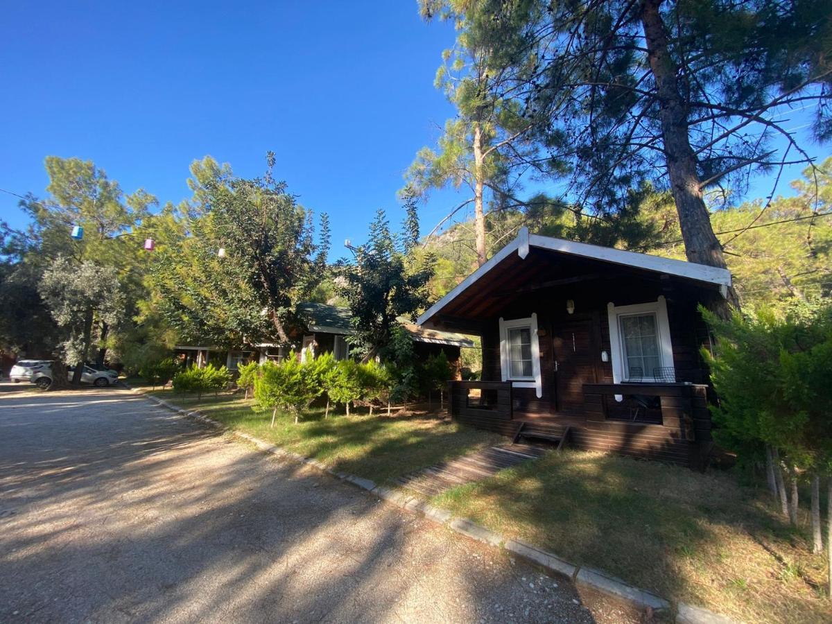 Green Pine Bungalows & Beach Luxury Concept 올루데니스 외부 사진